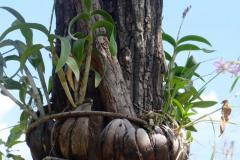 Abschied-Laos-17
