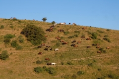 Aksu-Canyon-Kasachstan-3