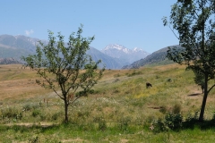 Aksu-Canyon-Kasachstan-8