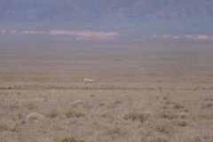 Altyn Emel National Park