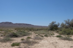 Altyn Emel National Park Kasachstan