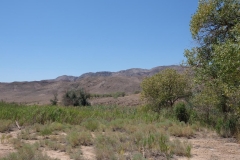 Altyn Emel National Park Kasachstan