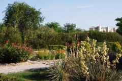 Aqtau Botanischer Garten