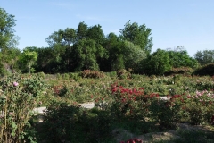 Aqtau Botanischer Garten