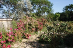 Aqtau Botanischer Garten