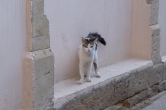 Baku