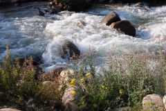 Basare-in-Kirgistan-6