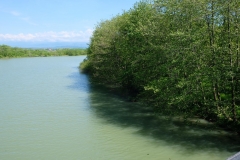 Batumi Natur