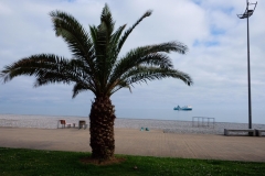 Spaziergang in Batumi - Georgien