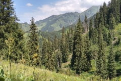 Bergidylle_Almaty-11