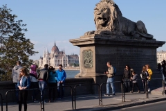 Die Kettenbrücke in Budapest