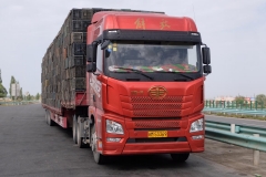 Buerguer-Turpan-1