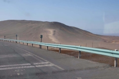 Buerguer-Turpan-20