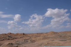 Buerguer-Turpan-26