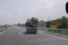 Buerguer-Turpan-5