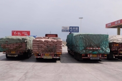 Buerguer-Turpan-6