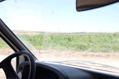 Unterwegs von Buxoro nach Samarkand