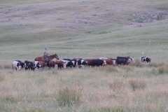 Cowboy-in-Kasachstan-1