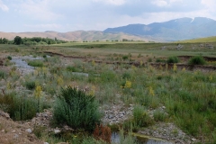 Cowboy-in-Kasachstan-13