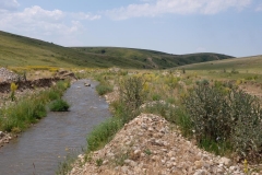 Cowboy-in-Kasachstan-14