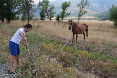 Cowboy-in-Kasachstan-17