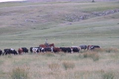 Cowboy-in-Kasachstan-2