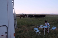 Cowboy-in-Kasachstan-8