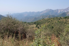 Sary-Chelek-11