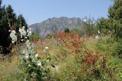 Sary-Chelek-16
