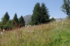Sary-Chelek-17