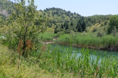 Sary-Chelek-22