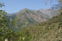 Sary-Chelek-7