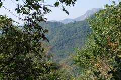 Sary-Chelek-8