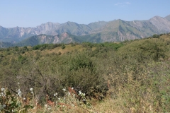 Sary-Chelek-9