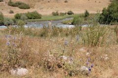 Fahrt-in-das-Naturschutzgebiet-in-Kaskacy-14