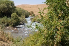 Fahrt-in-das-Naturschutzgebiet-in-Kaskacy-15