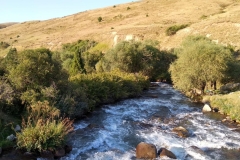 Fahrt-in-das-Naturschutzgebiet-in-Kaskacy-23