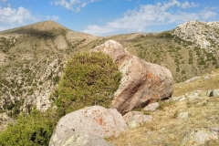 Fahrt-in-das-Naturschutzgebiet-in-Kaskacy-25