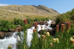 Fahrt-in-das-Naturschutzgebiet-in-Kaskacy-29