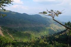 Fahrt-von-Laos-nach-Van-Vieng-5