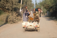 Fahrt-von-Tash-Kömür-nach-Arslanbob27