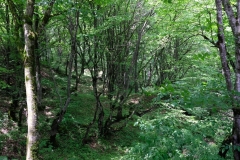 Göygöl National Park