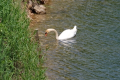 Göygöl National Park