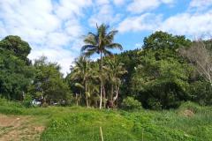 Das-goldene-Dreieck_Laos-11