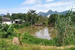 Das-goldene-Dreieck_Laos-12