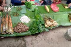 Das-goldene-Dreieck_Laos-15