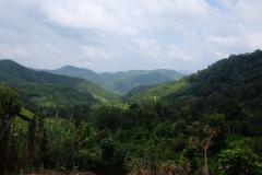 Das-goldene-Dreieck_Laos-16