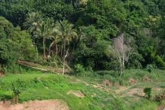 Das-goldene-Dreieck_Laos-18