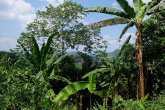Das-goldene-Dreieck_Laos-3