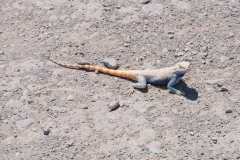 Erste Eindrücke aus Usbekistan